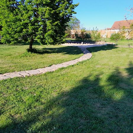 Apartmán Dvur Dolenec Rohoznice  Exteriér fotografie