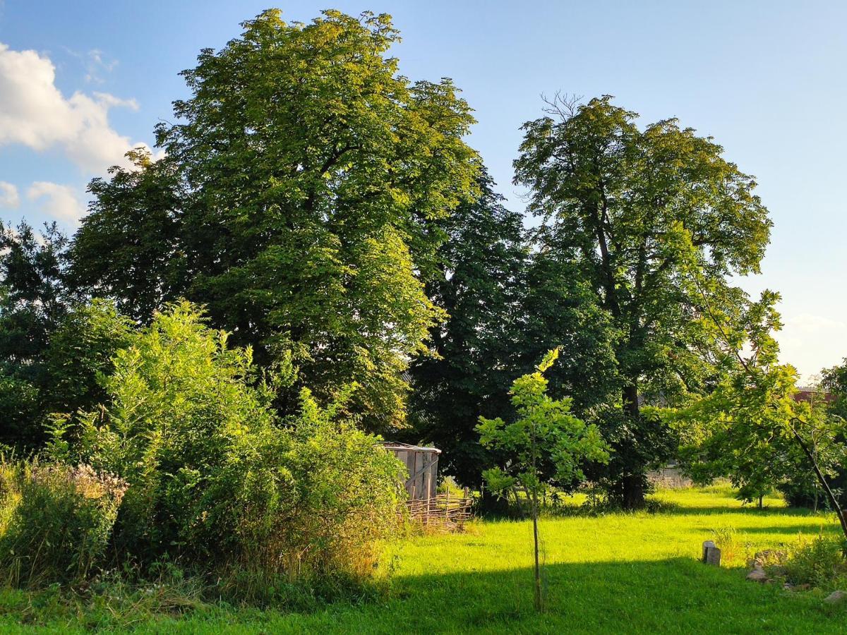 Apartmán Dvur Dolenec Rohoznice  Exteriér fotografie